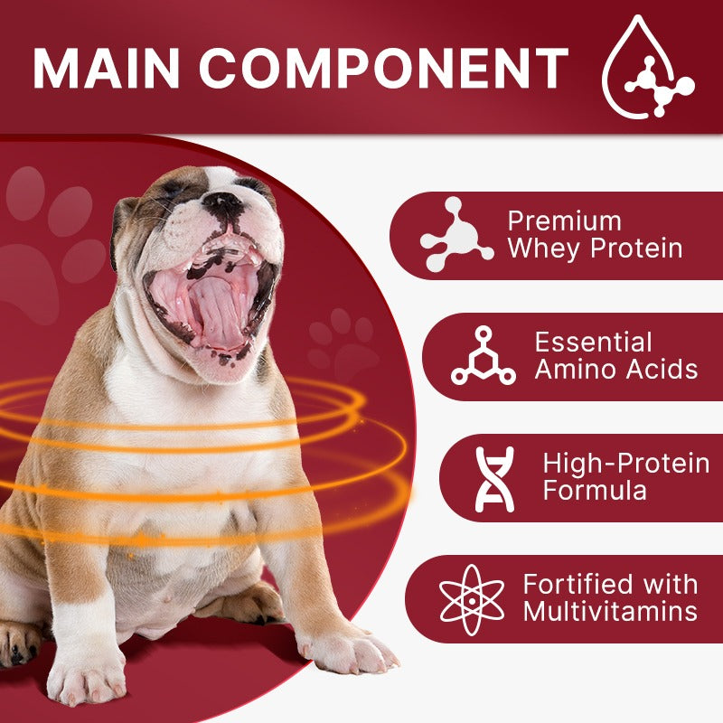 NBK Muscle Gain Chew High Protein