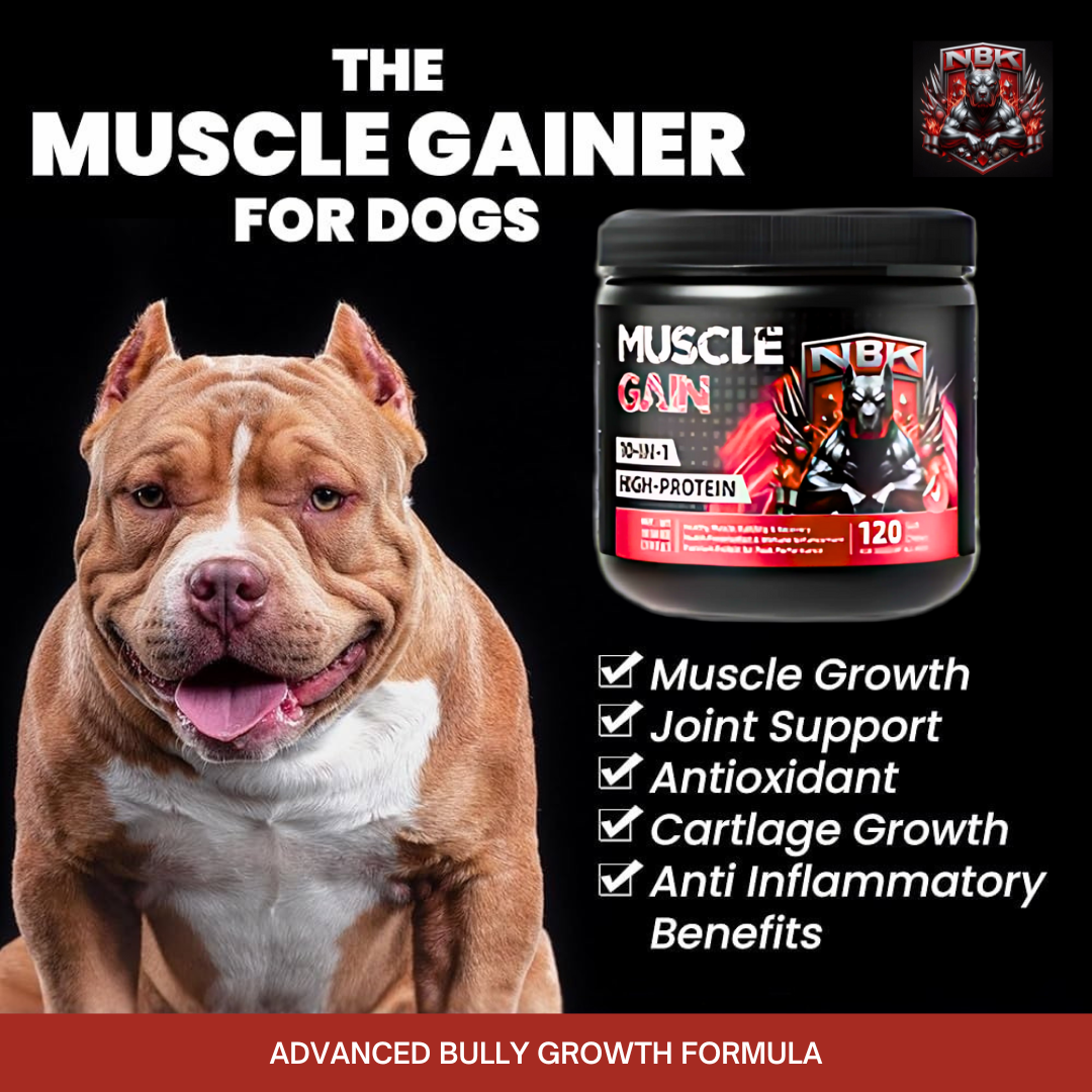 NBK Muscle Gain Chew High Protein