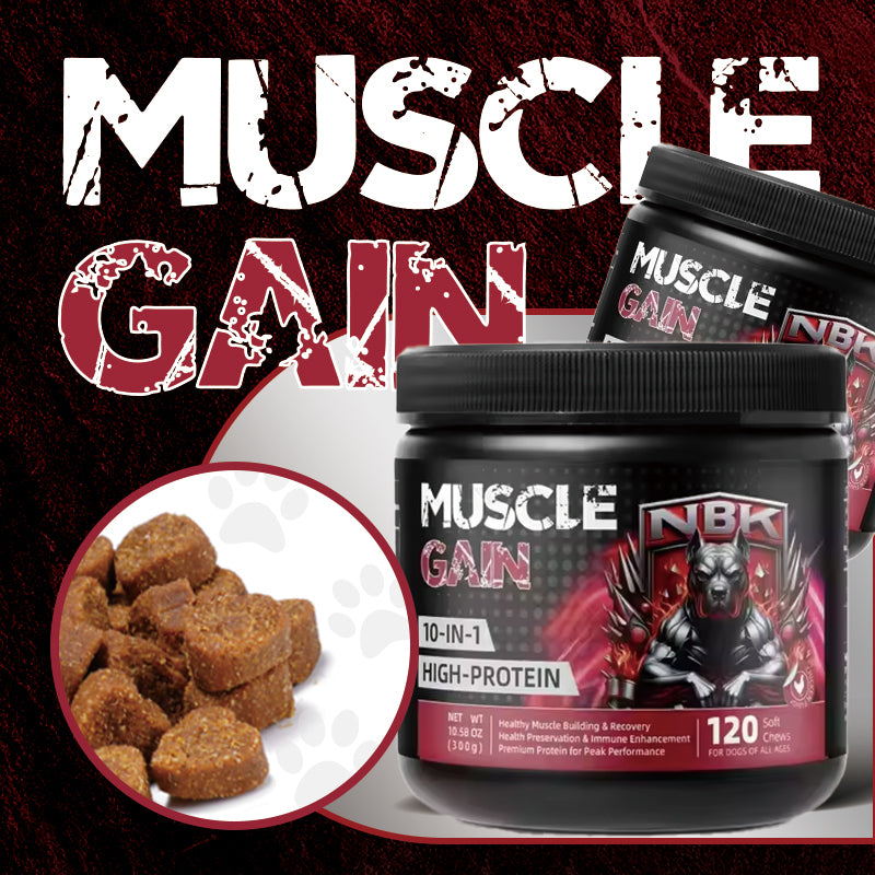NBK Muscle Gain Tough 120 Soft Chew Bottle High Protein