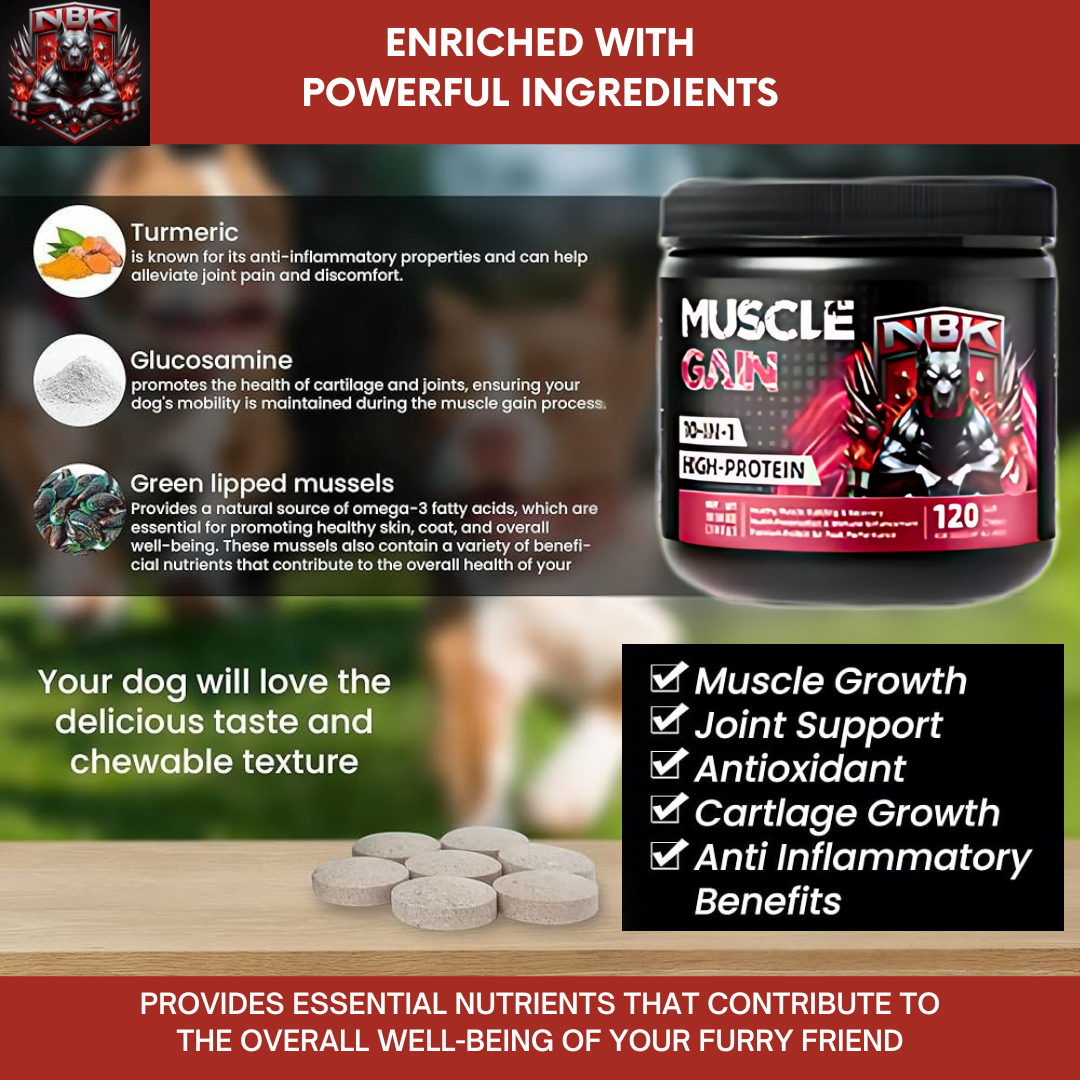 NBK Muscle Gain Chew High Protein